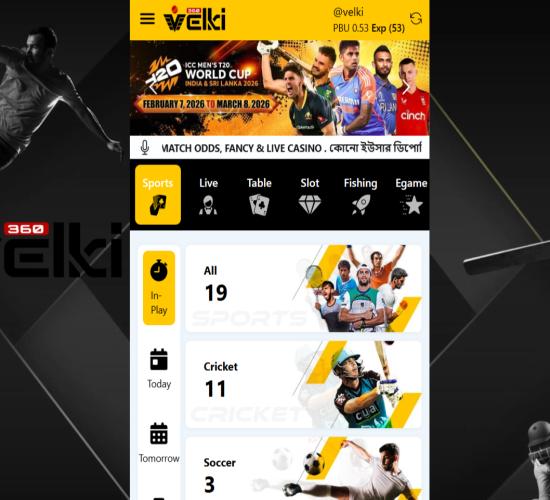 Velki B2B  সম্পূর্ণ ওয়েবসাইট ডেভেলপমেন্ট